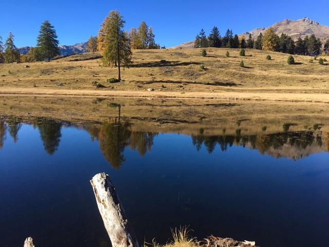 Chasa Mundin Scuol Exterior foto