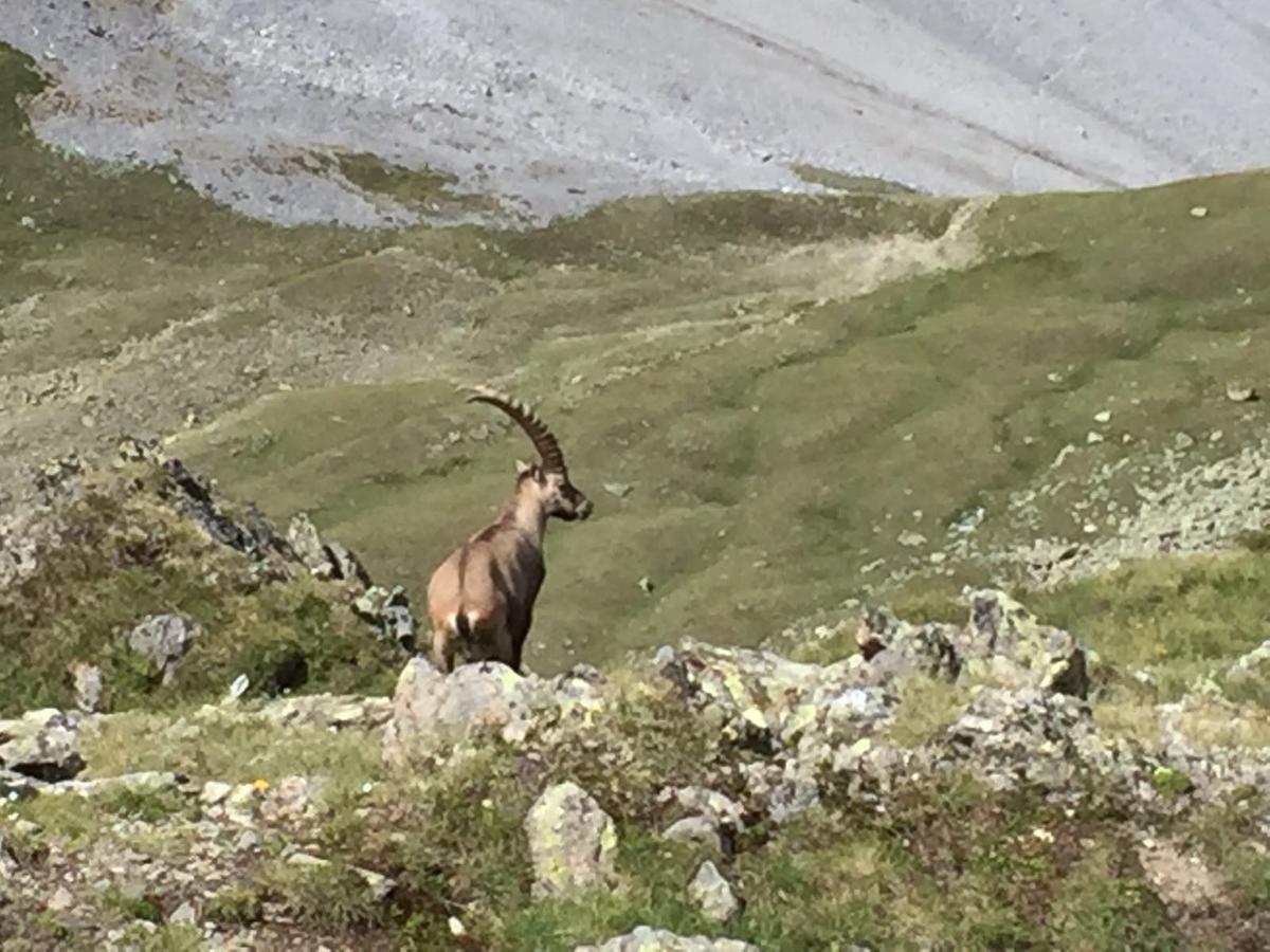 Chasa Mundin Scuol Exterior foto